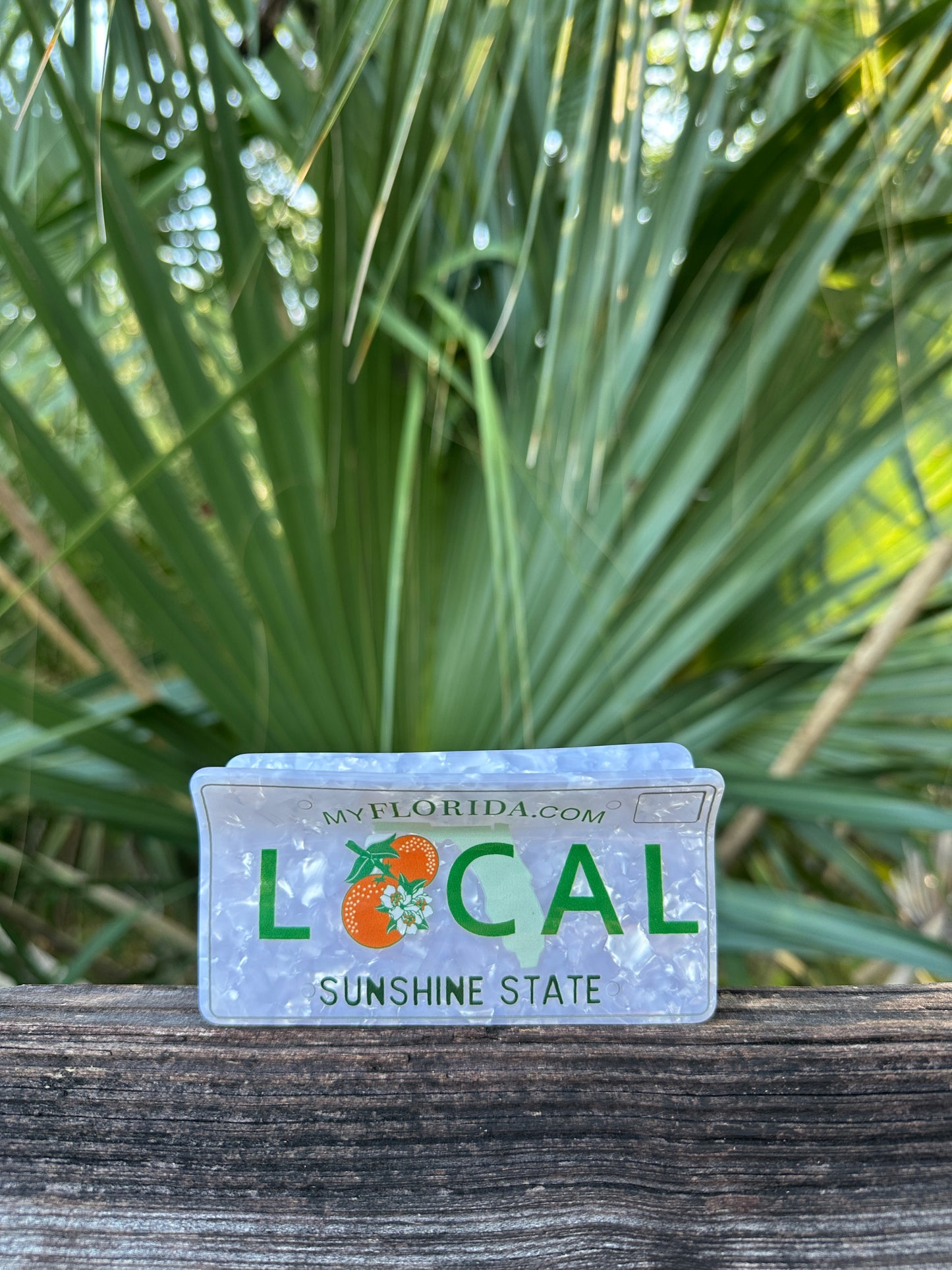 Florida Local License Plate Clawclip