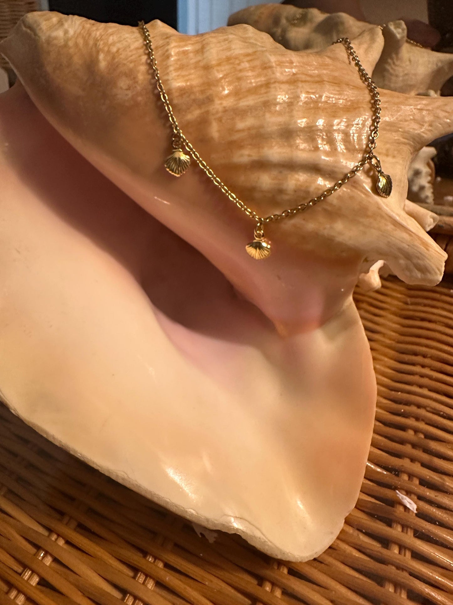 Triple Seashell Gold Necklace