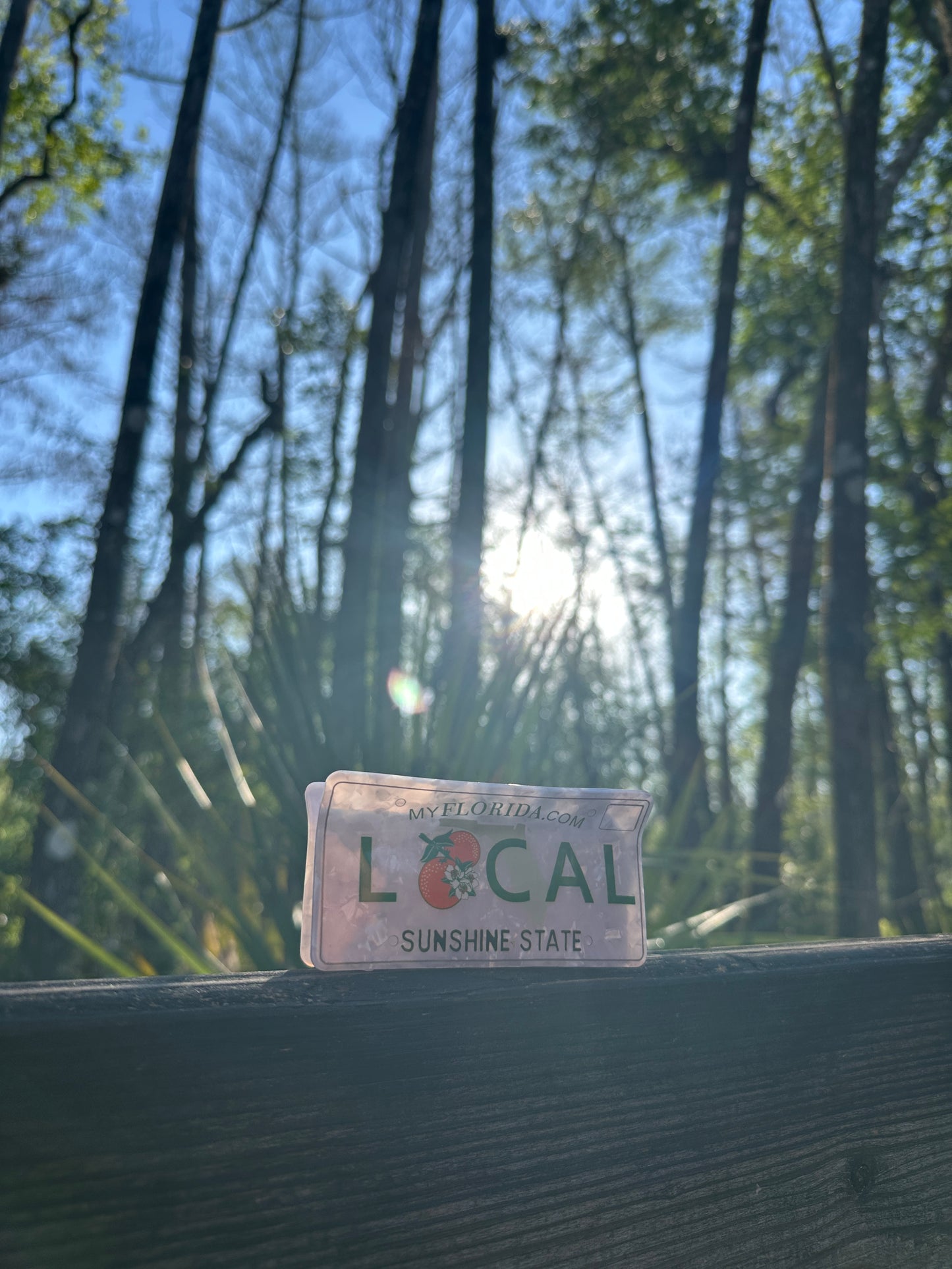 Florida Local License Plate Clawclip