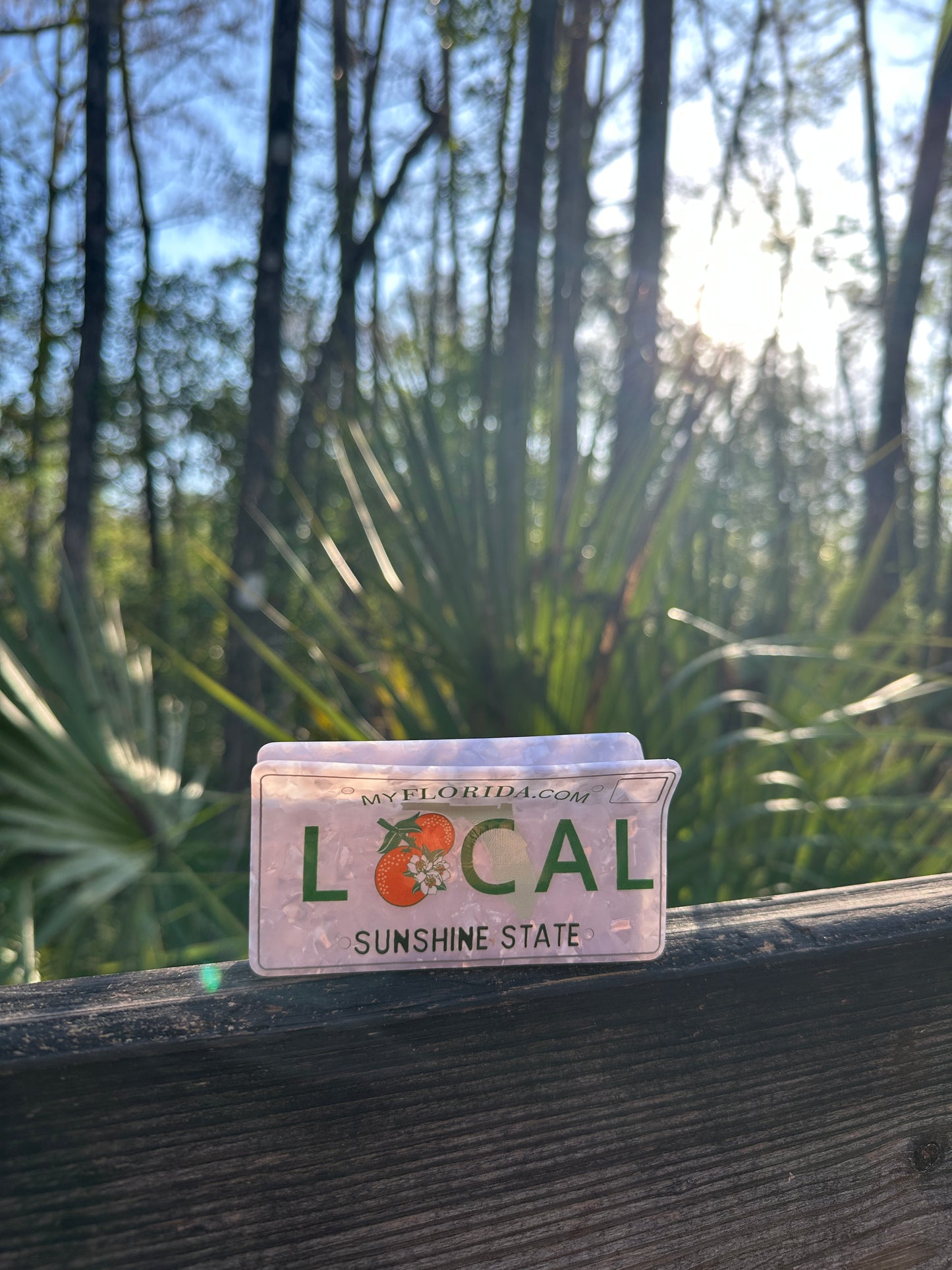 Florida Local License Plate Clawclip