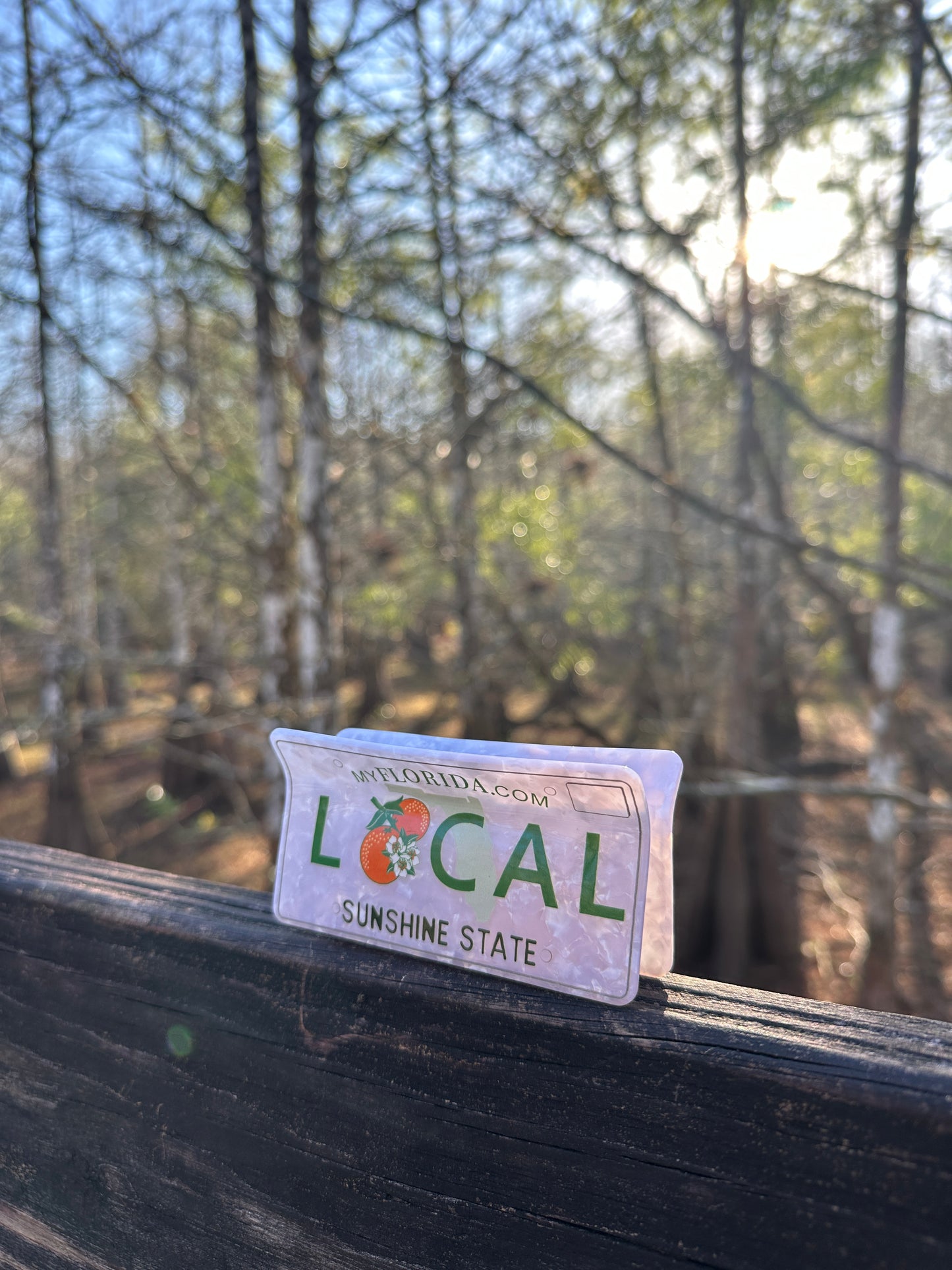 Florida Local License Plate Clawclip
